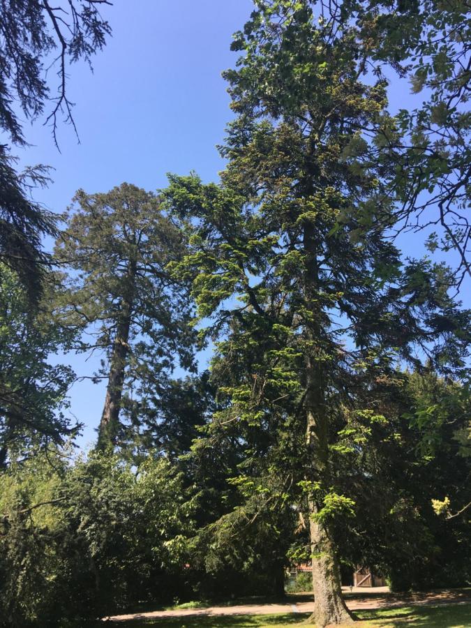 Le Chateau Des Tourelles En Vendee La Gaubretiere Eksteriør billede