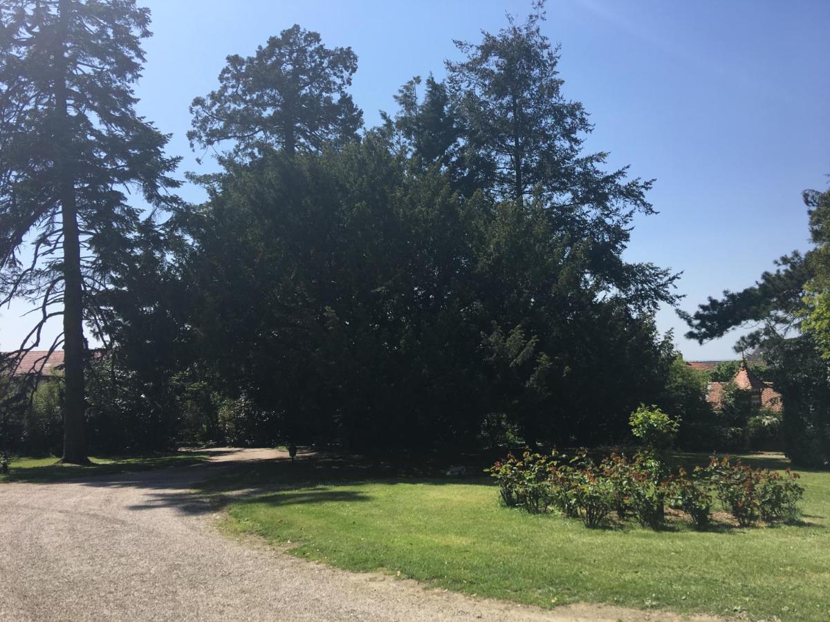 Le Chateau Des Tourelles En Vendee La Gaubretiere Eksteriør billede